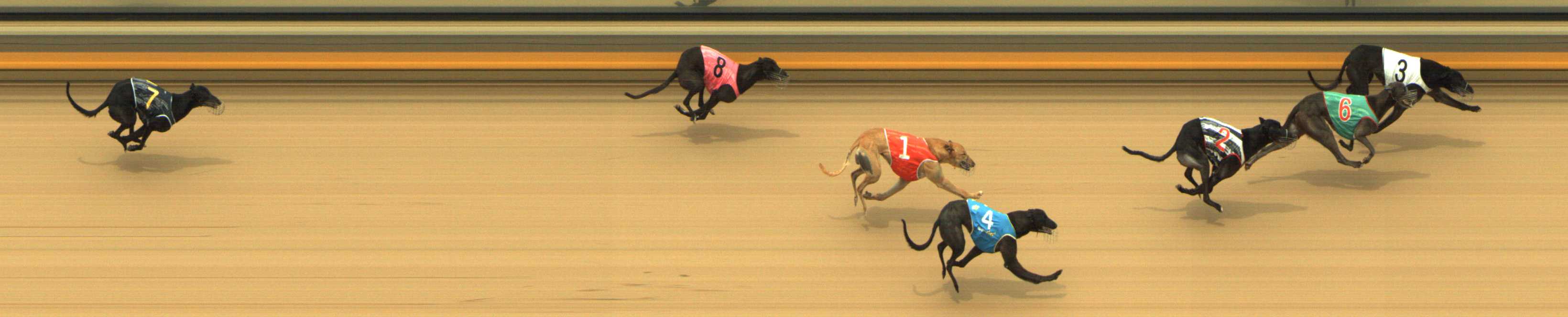Photo finish for Shepparton Race 8