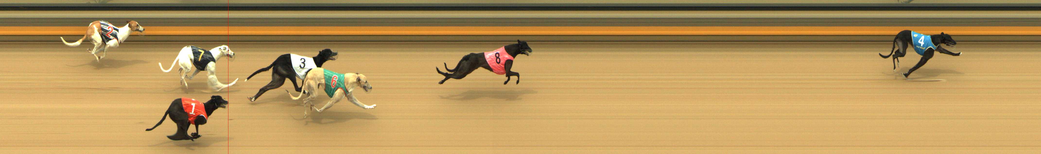 Photo finish for Shepparton Race 9
