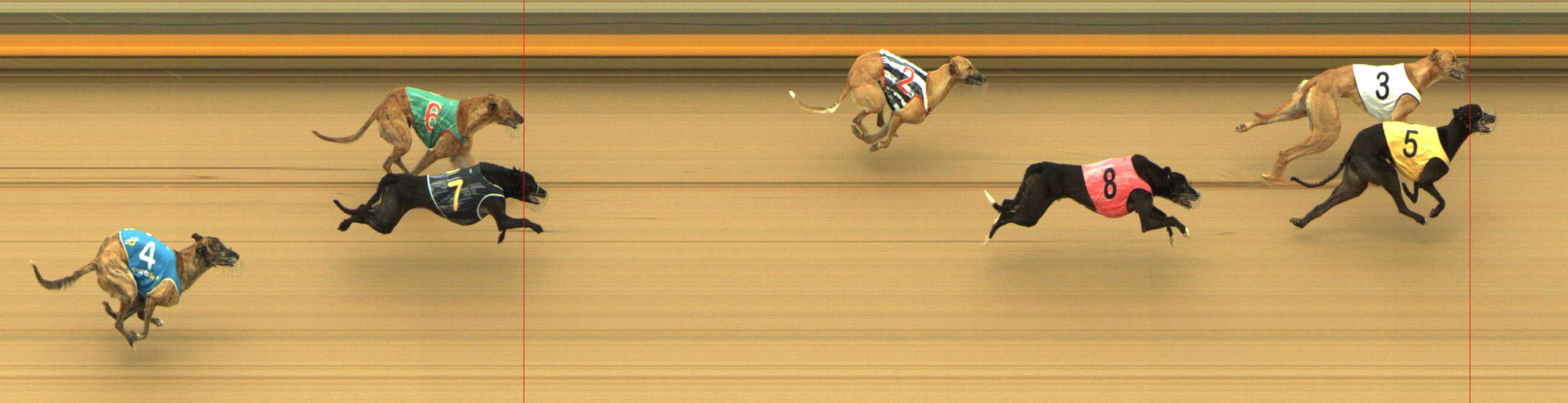 Photo finish for Shepparton Race 10
