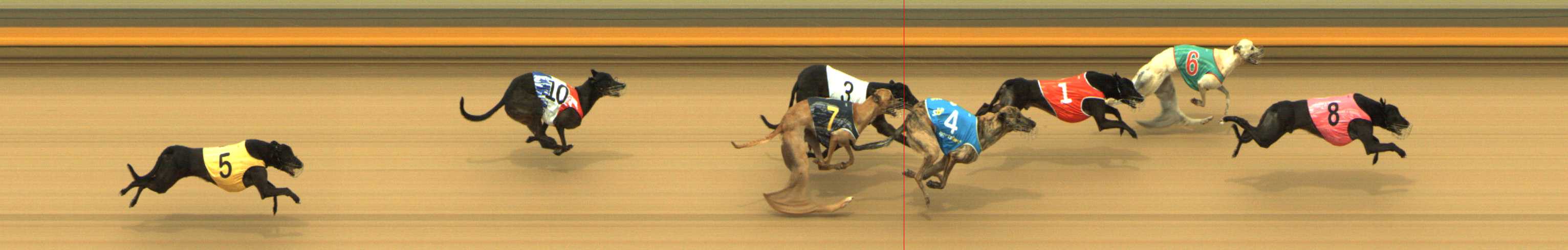Photo finish for Shepparton Race 11