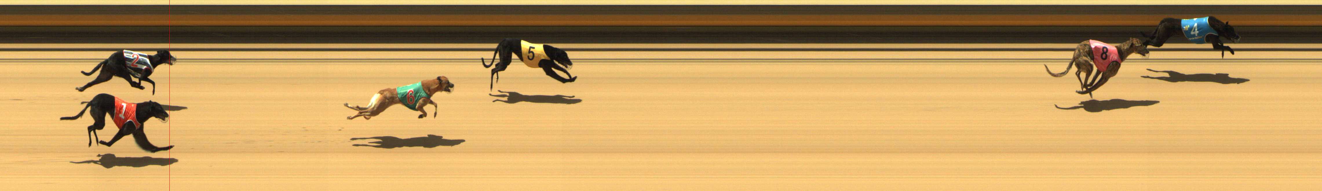 Photo finish for Shepparton Race 1