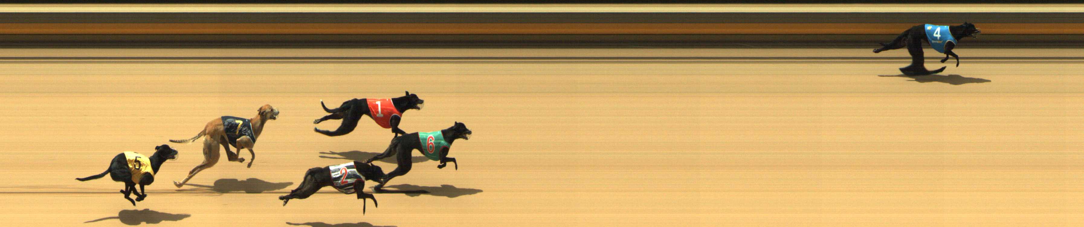 Photo finish for Shepparton Race 2