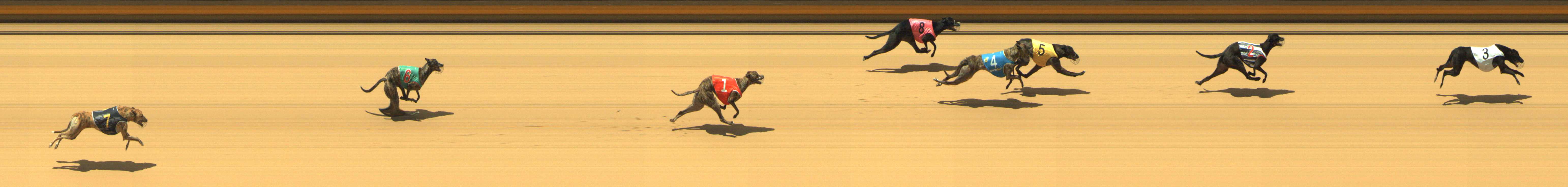 Photo finish for Shepparton Race 3