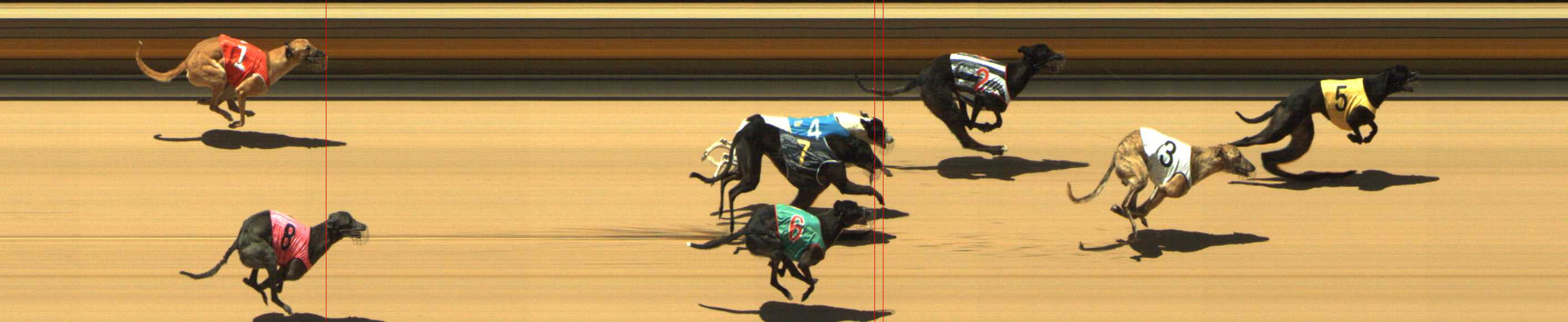 Photo finish for Shepparton Race 4
