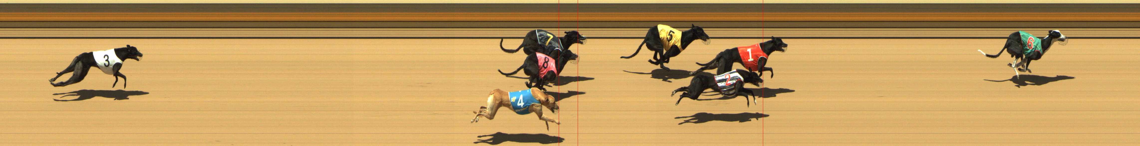 Photo finish for Shepparton Race 6