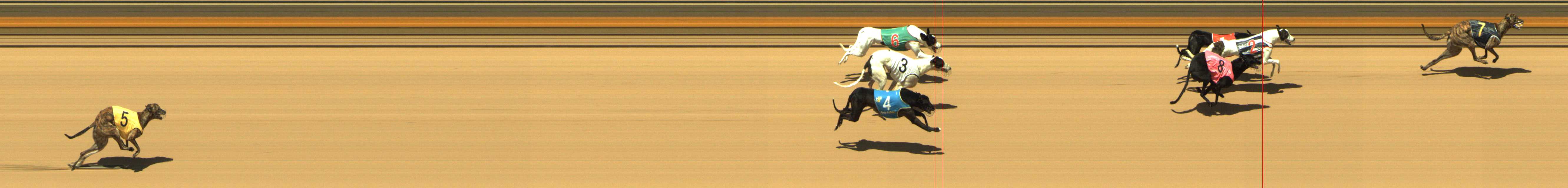 Photo finish for Shepparton Race 7