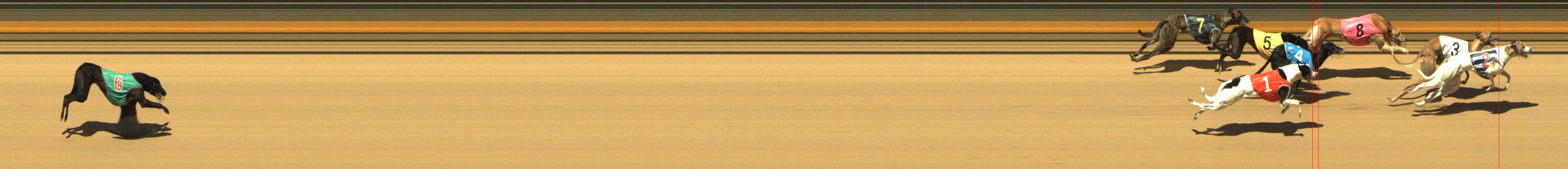 Photo finish for Shepparton Race 8