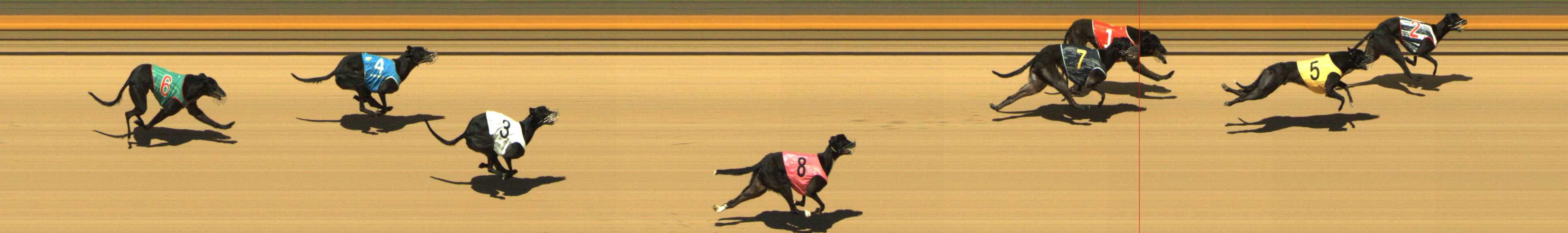 Photo finish for Shepparton Race 9