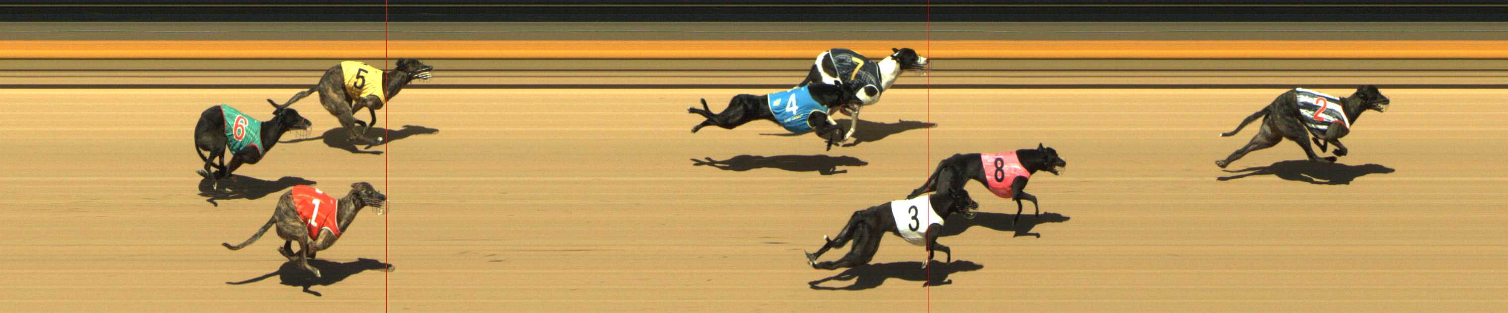 Photo finish for Shepparton Race 10