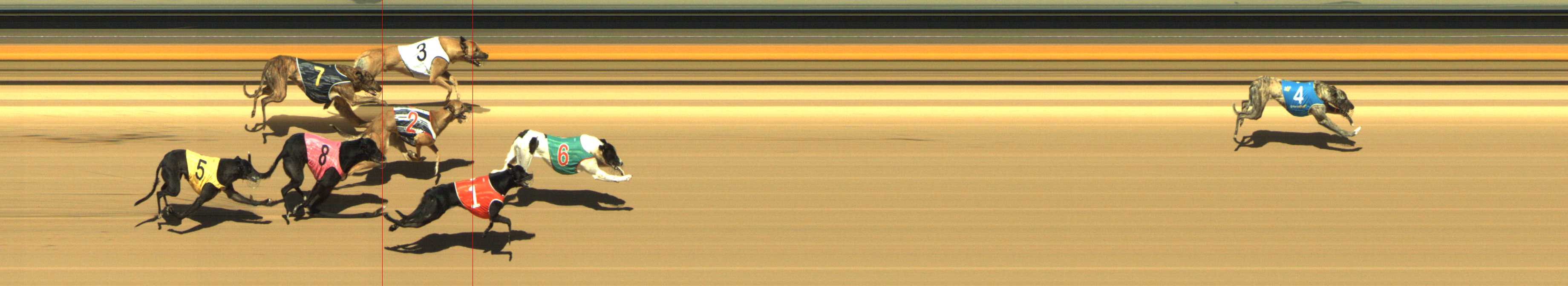 Photo finish for Shepparton Race 11