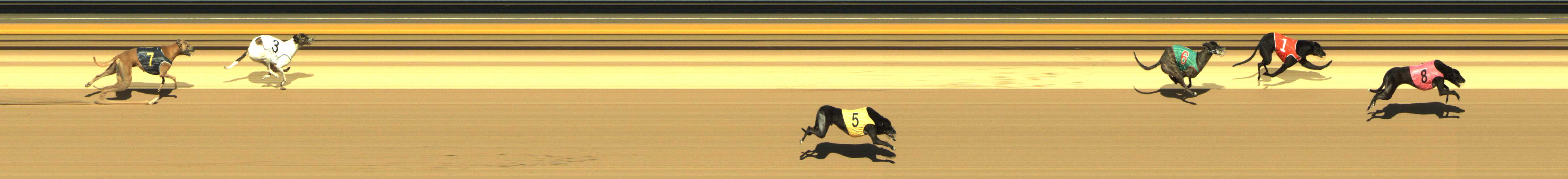 Photo finish for Shepparton Race 12