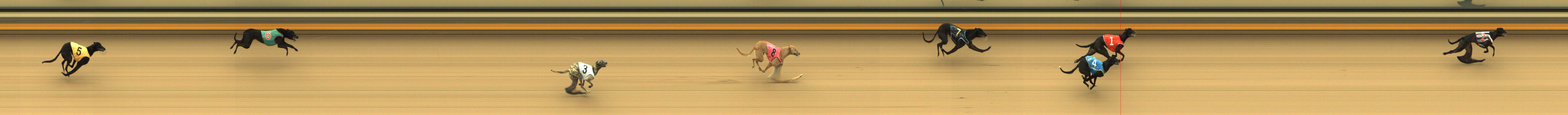 Photo finish for Shepparton Race 1