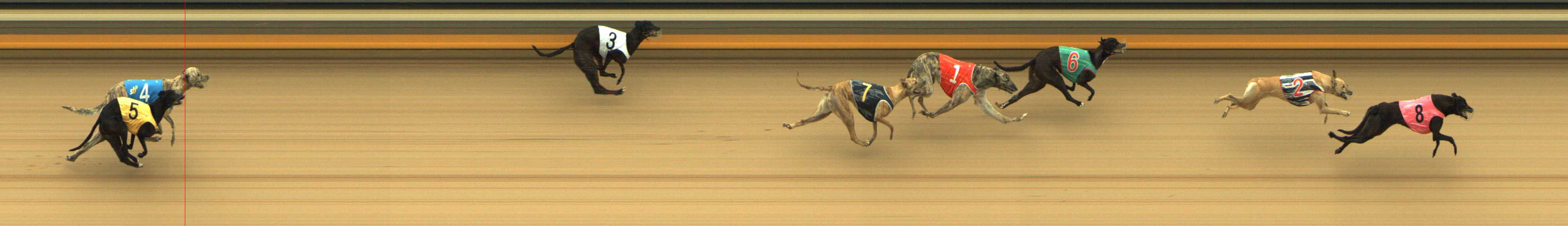 Photo finish for Shepparton Race 2