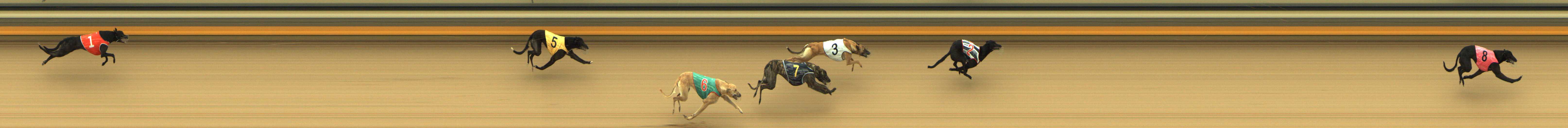 Photo finish for Shepparton Race 3