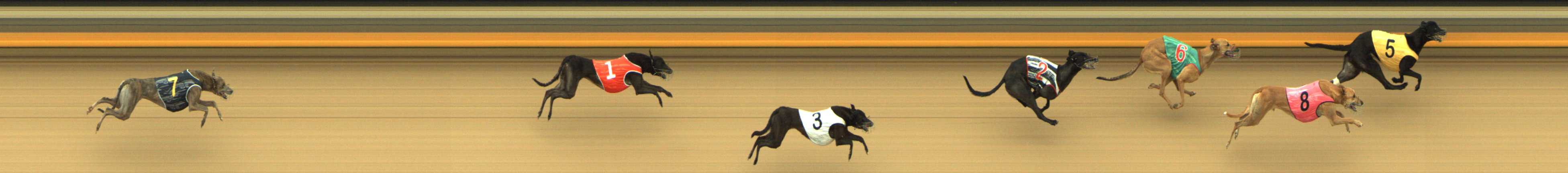 Photo finish for Shepparton Race 4