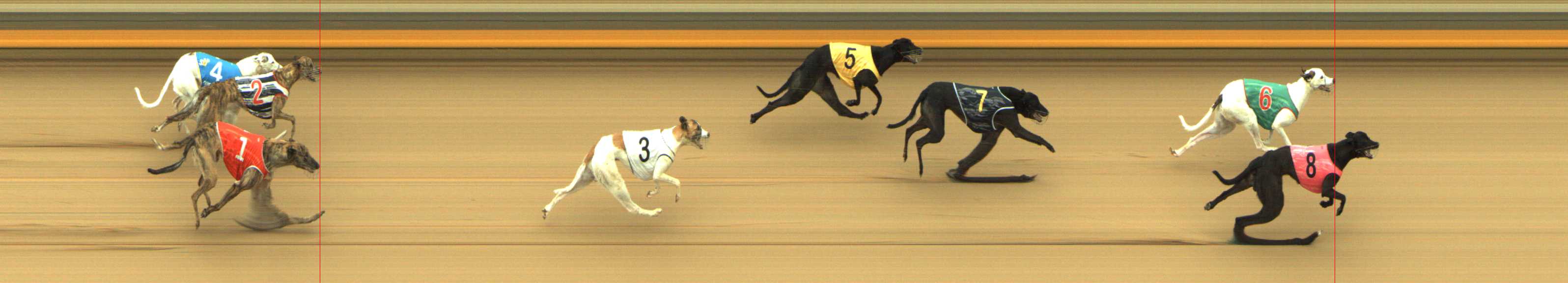 Photo finish for Shepparton Race 5