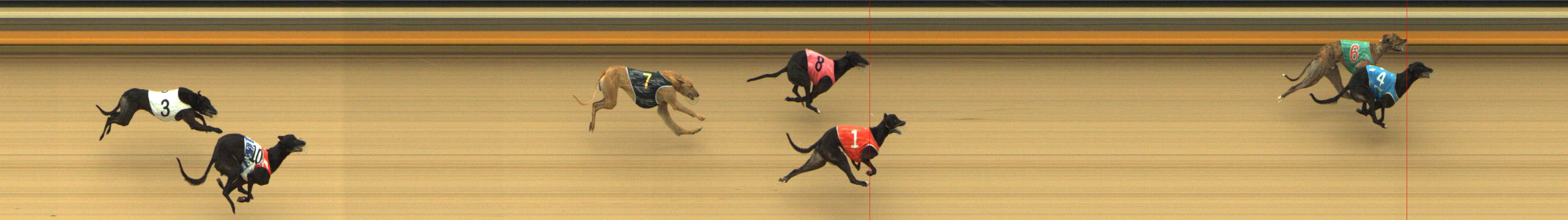 Photo finish for Shepparton Race 6