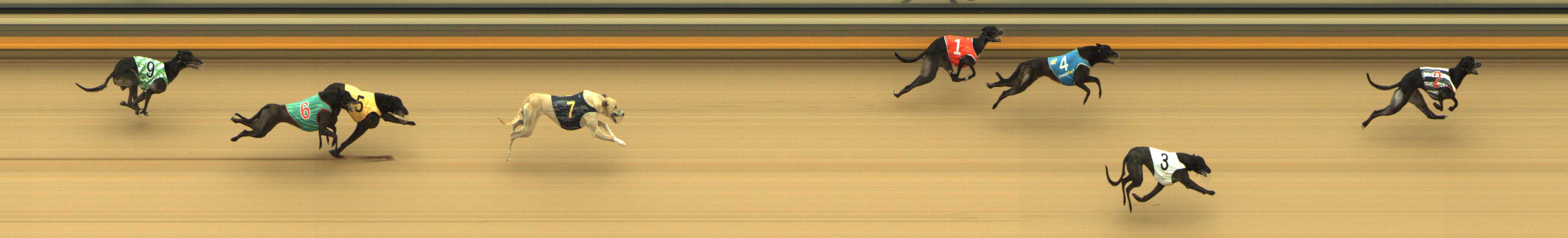 Photo finish for Shepparton Race 7