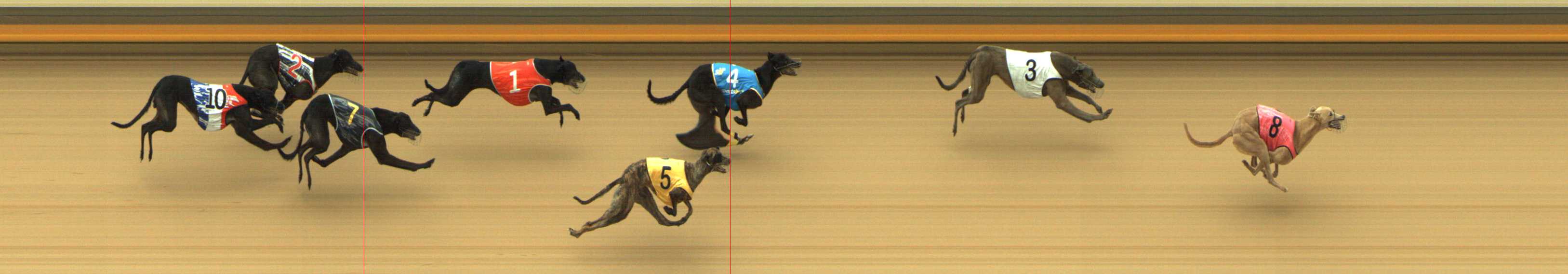 Photo finish for Shepparton Race 8