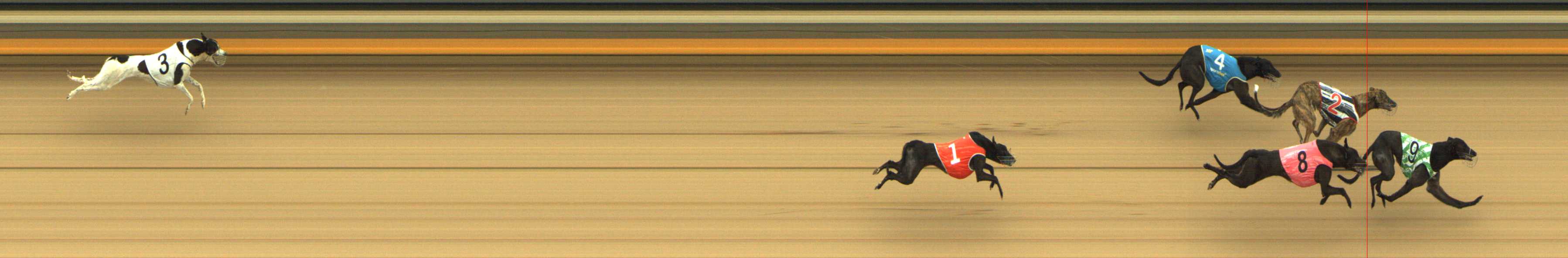 Photo finish for Shepparton Race 9