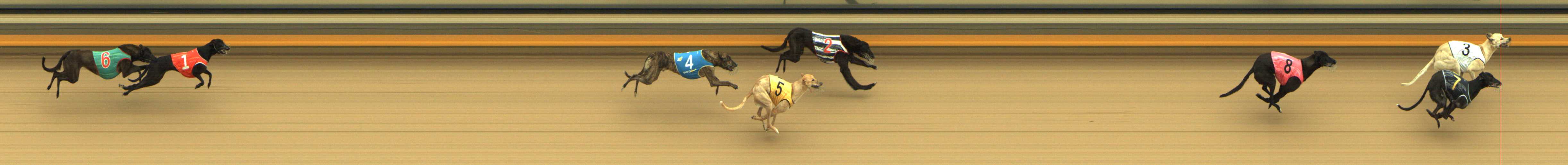 Photo finish for Shepparton Race 10
