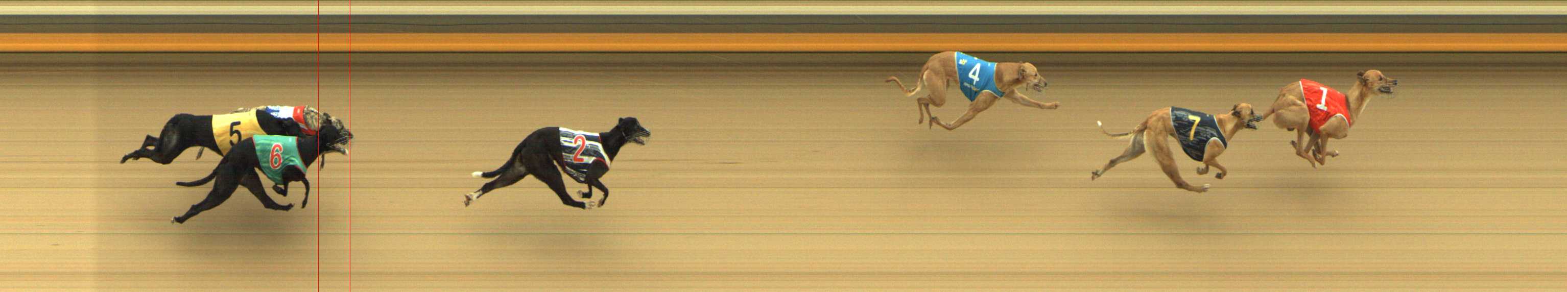 Photo finish for Shepparton Race 11