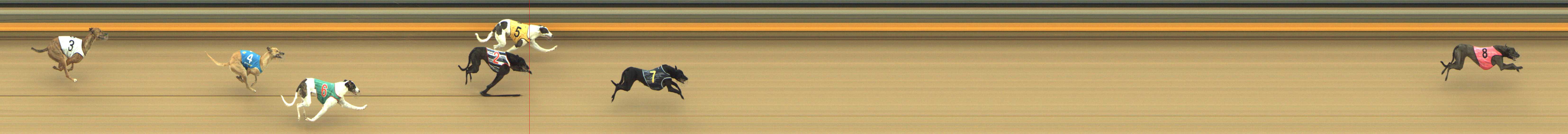 Photo finish for Shepparton Race 1