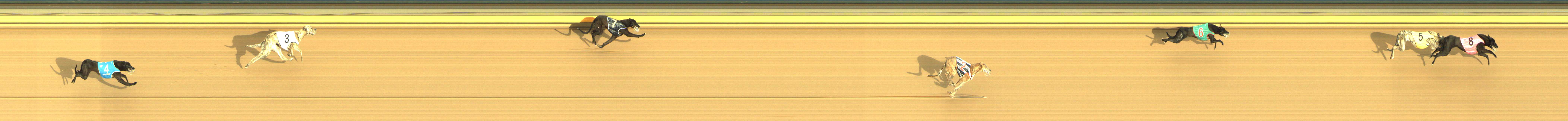 Photo finish for Shepparton Race 2