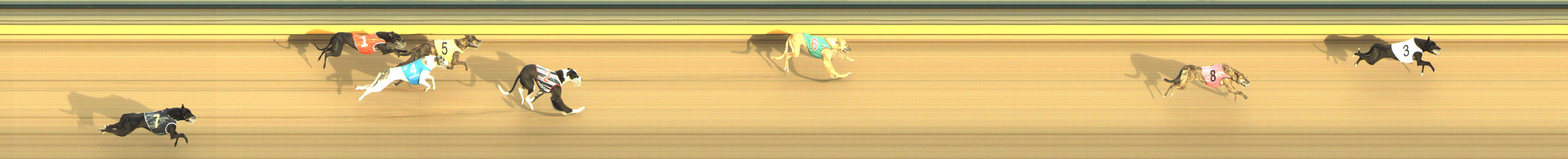 Photo finish for Shepparton Race 3
