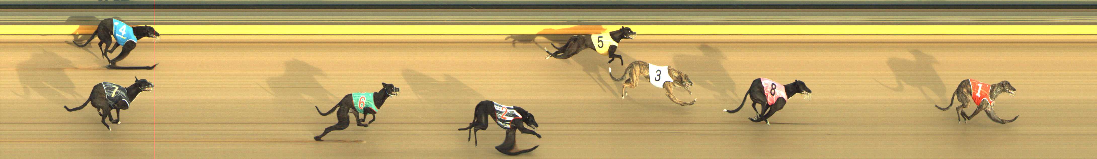 Photo finish for Shepparton Race 4