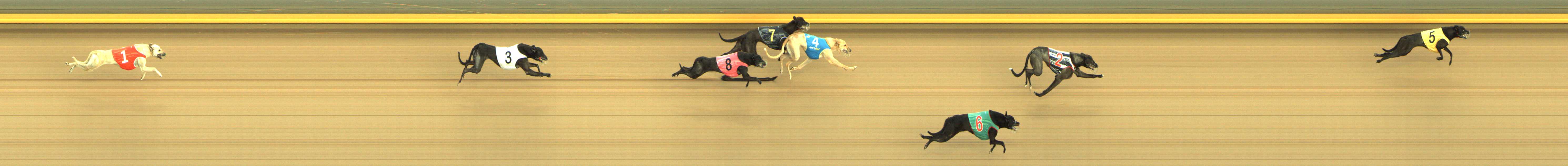 Photo finish for Shepparton Race 5