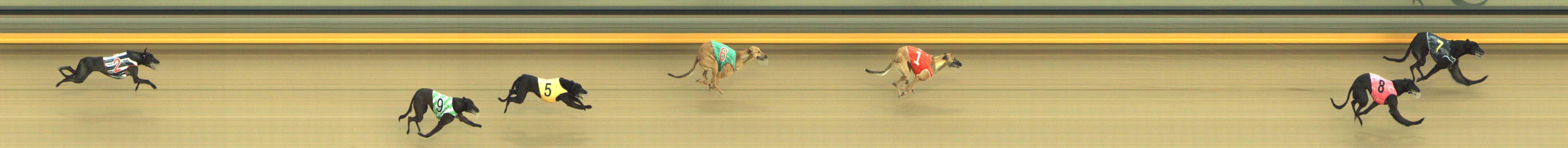 Photo finish for Shepparton Race 6