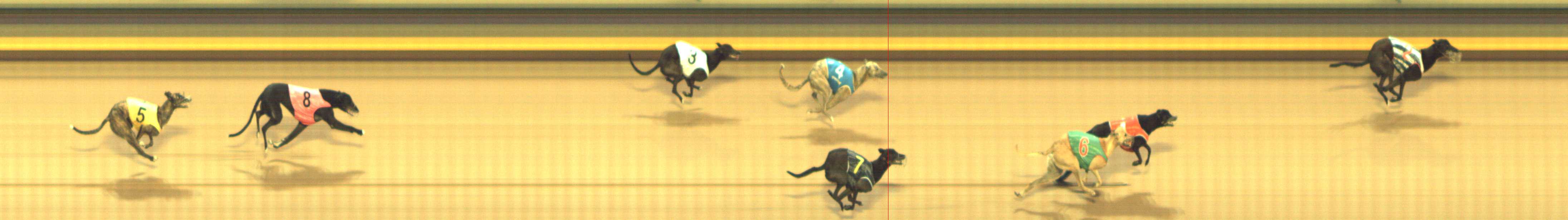 Photo finish for Shepparton Race 9