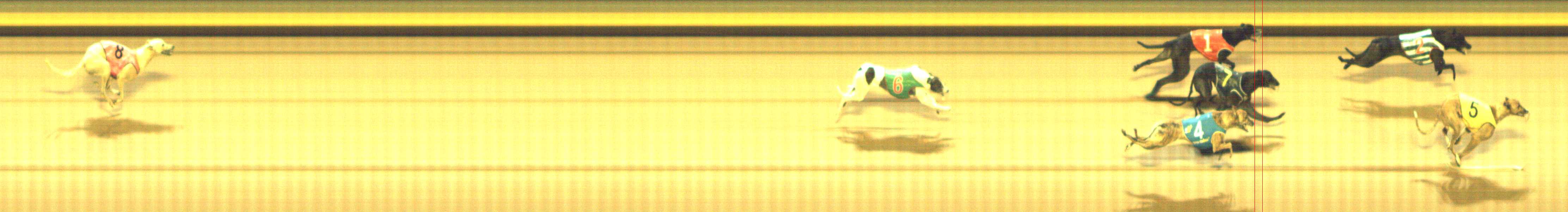 Photo finish for Shepparton Race 10