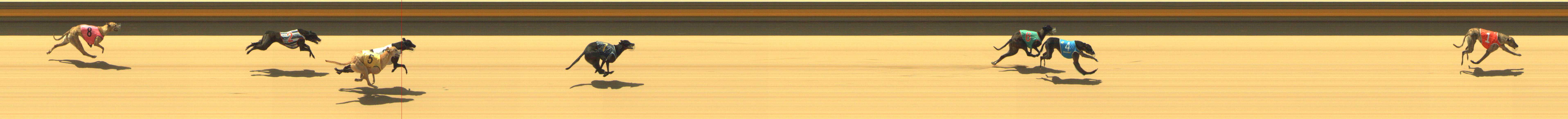 Photo finish for Shepparton Race 1