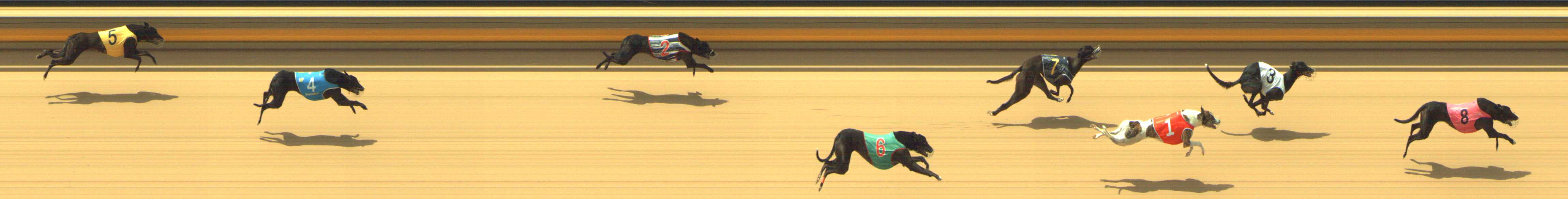 Photo finish for Shepparton Race 2