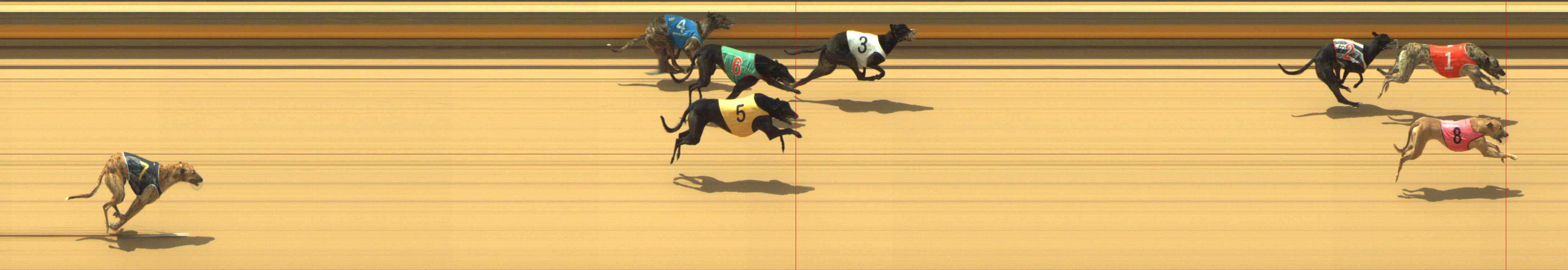 Photo finish for Shepparton Race 3
