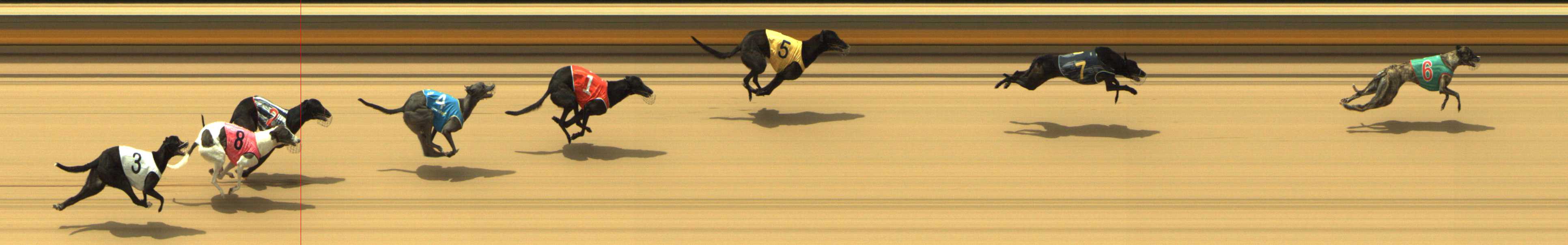 Photo finish for Shepparton Race 4