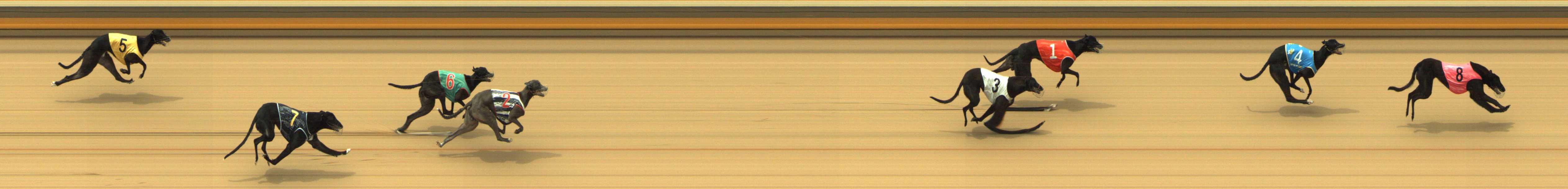 Photo finish for Shepparton Race 5