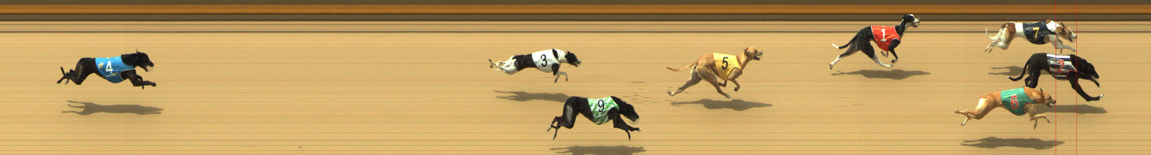 Photo finish for Shepparton Race 6
