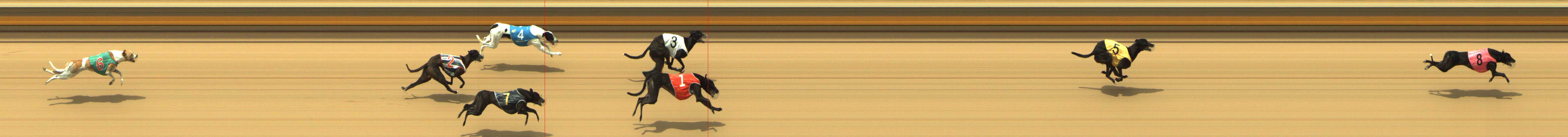 Photo finish for Shepparton Race 7