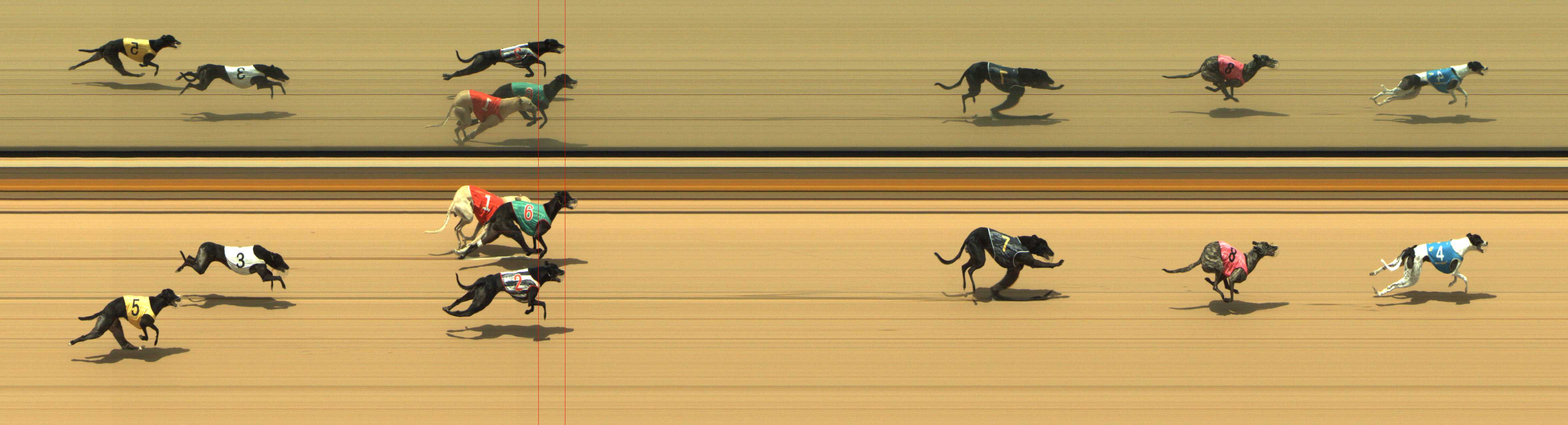 Photo finish for Shepparton Race 8