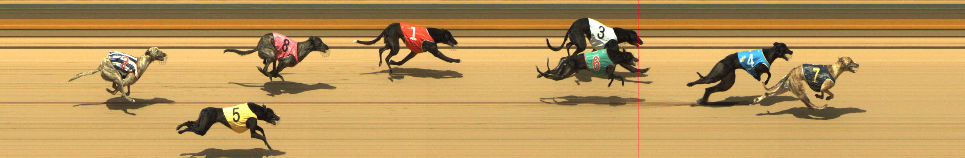 Photo finish for Shepparton Race 9