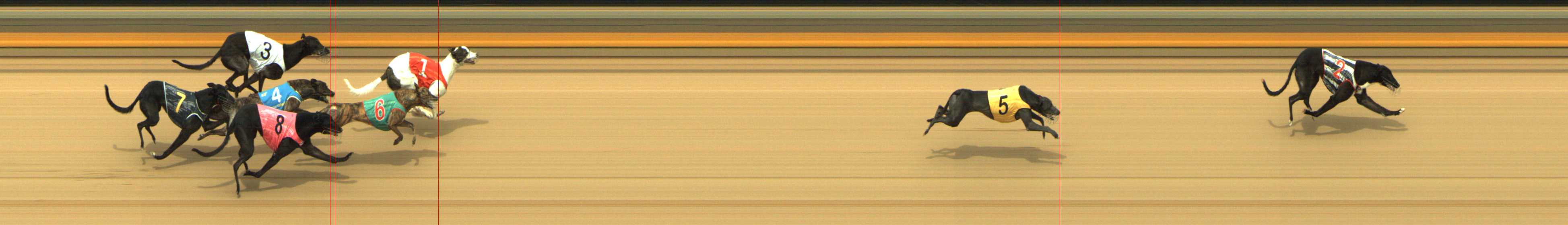 Photo finish for Shepparton Race 10