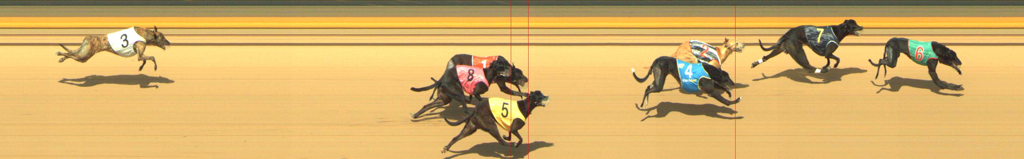 Photo finish for Shepparton Race 11
