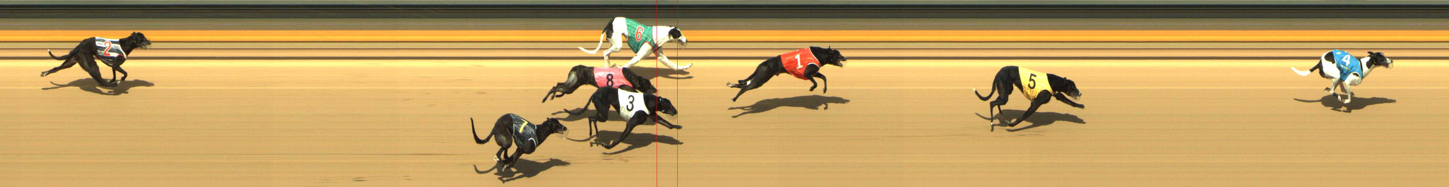 Photo finish for Shepparton Race 12