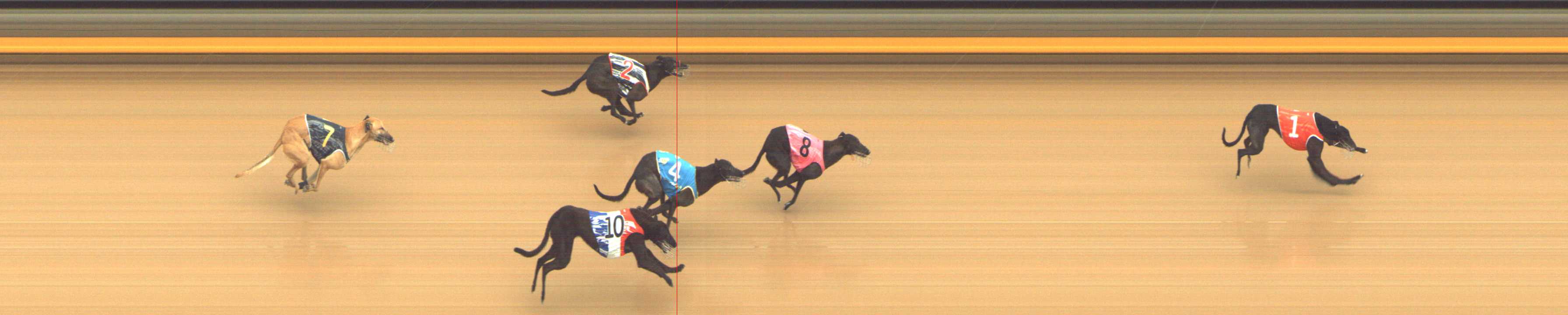 Photo finish for Shepparton Race 1