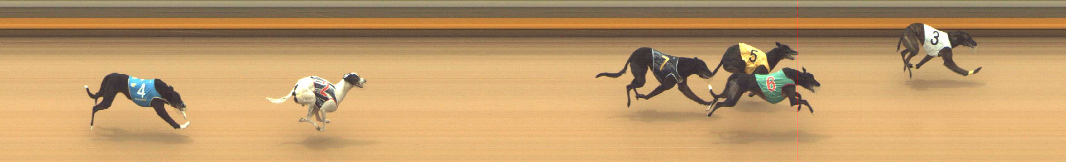 Photo finish for Shepparton Race 2