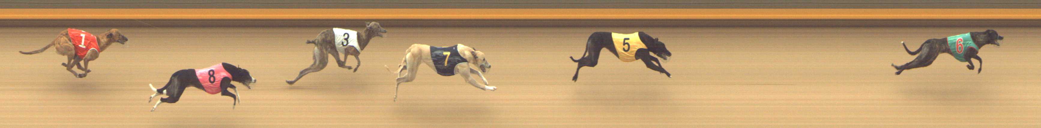 Photo finish for Shepparton Race 4