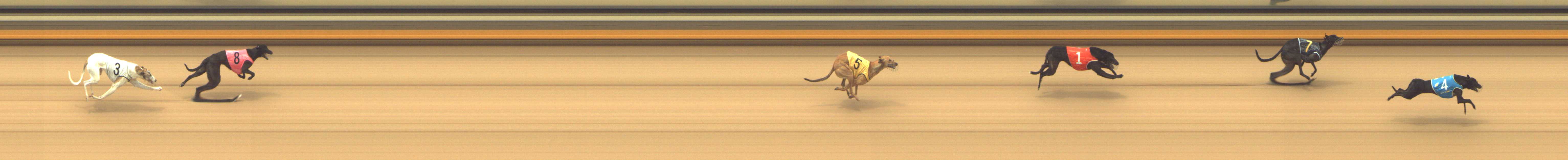 Photo finish for Shepparton Race 5